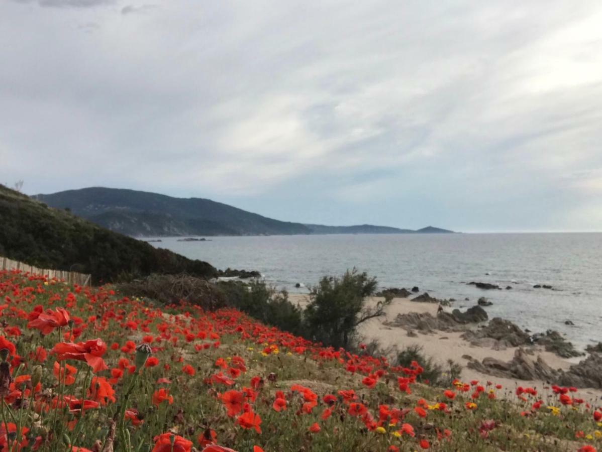Grand Appartement Style Loft Bord De Mer Propriano  Luaran gambar